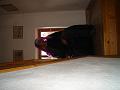 DSC03273