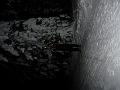 DSCN1193