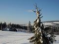 PICT0077