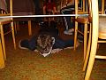 PICT0234