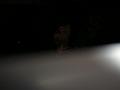 PICT7080