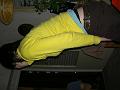 PICT7088