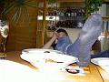 PICT7089