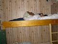 PICT7103