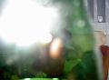 pict1229