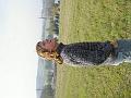 PICT5824