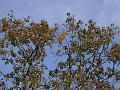 PICT5844