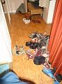 DSC00907