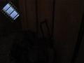 MOV01855