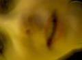 pict2454