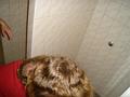 DSC00365