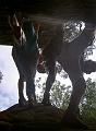 pict1910