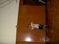 PICT7212